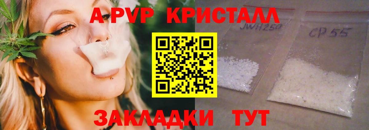 Alfa_PVP СК Глазов