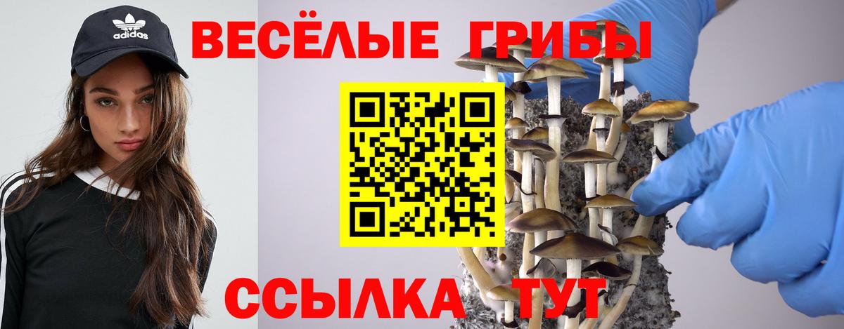 Галлюциногенные грибы мицелий  даркнет сайт  Вход с VPN  Глазов  Псилоцибиновые грибы Psilocybe 